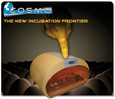 Fiem COSMO - The new incubator frontier